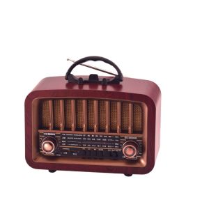STARGOLD Portable Multifunction Radio FM/AM/SW Radio Powerful Speaker USB/TF Music Player Bluetooth TWS Connect 2000mAh Big Battery SG-GR2043