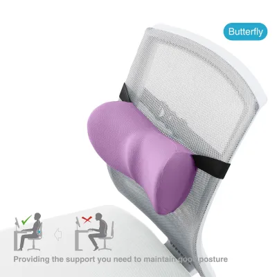 Ergoworks Ergonomic Support Perfect Fit Lumbar Support EW-SCLS
