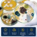 Mold Testing Kit with 10 Individual Tests - DIY Mold Test Kit for Home - Includes Detailed Mold Identification Guide - Fast and Reliable Mold Detector for Home. 