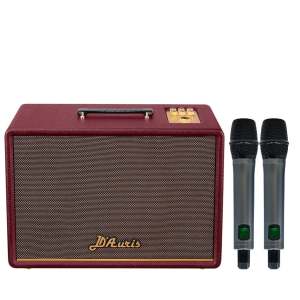 Loa ACNOS DAuris 300 dàn karaoke di động Dauris Hàng chính hãng SONCAMEDIA
