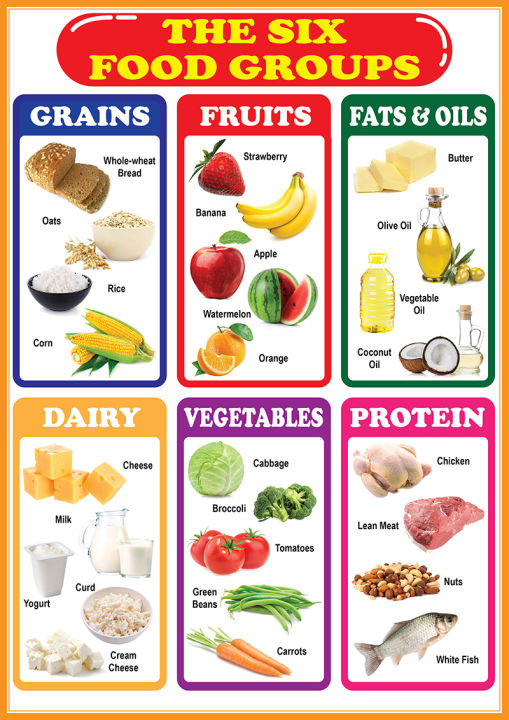 Six Food Groups Educational Chart - A4 Size Poster - Waterproof print ...