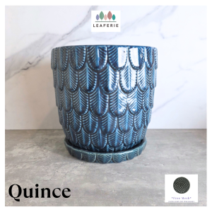 The Leaferie Quince plant pots Ceramic flowerpot flowerpots flower pot planter planters