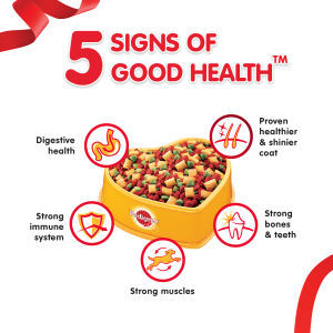 PEDIGREE Makanan Anjing Dewasa Kering 3kg