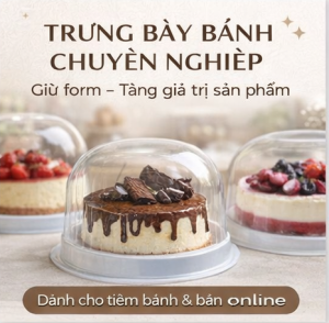 Hộp Nhựa Đựng Bánh H25 Mô Nắp Cầu Trong Suốt Đựng Bánh Kem Bánh Bông Lan 18x18x12cm Lốc 100 Cái