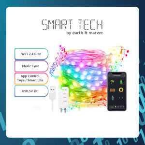 (Local Stock) Tuya WIFI Fairy Light/ Angel Light USB  Lights App Remote Control Music Sync RGB LED String Lights