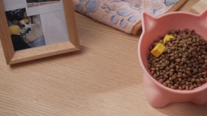 ชามอาหารและน้ำสำหรับแมว Yaomiao 2 ชิ้น ชามพลาสติกยกสูงสำหรับแมวเล็ก (สีชมพู สีเขียว)