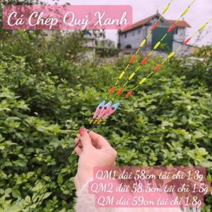 Phao hổ đấu chép xanh 7 nấc