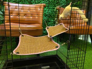 Hammock mat type for sugar glider (small animals)