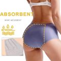 Everdries Leakproof Ladies Underwear - Everdries Leakproof Panties for Over 60 # s with Incontinence Comfortable. 