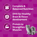 WHISKAS Wet Cat Food for Kitten Mackerel Flavor Pouch 80g (6-Pack). 
