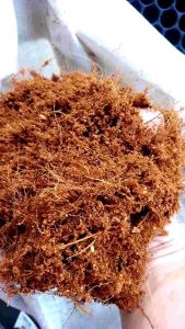 ขุยมะพร้าว 1 กก. ขุยมะพร้าวพร้อมส่ง