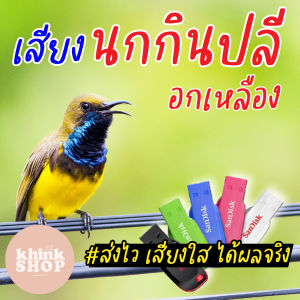 เสียงต่อนกกินปลีอกเหลือง เมมเสียงต่อนกกินปลีอกเหลือง แฟลชไดร์ฟเสียงต่อนกกินปลีอกเหลือง มีเก็บเงินปลายทาง