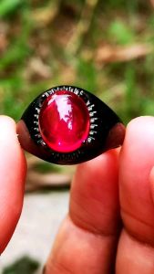 BATU PERMATA MERAH DELIMA SIAM BANGKOK KEKERASAN 925 MOHS MODEL GIGI DIM 12X10