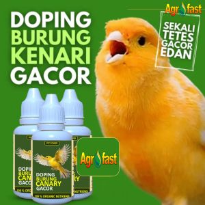 Vitamin Burung Kenari Super Gacor Booster Penggacor Burung Kenari Extra Asam Amino plus Probiotik