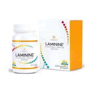 LAMININE / NEW-PACKAGING BOTTLE / 30 Capsules / AUTHENTIC FROM USA / AUTHENTIC!