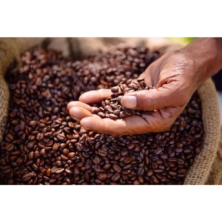 500GR Nhân hạt cà phê ARABICA rang mộc (cà phê chè)