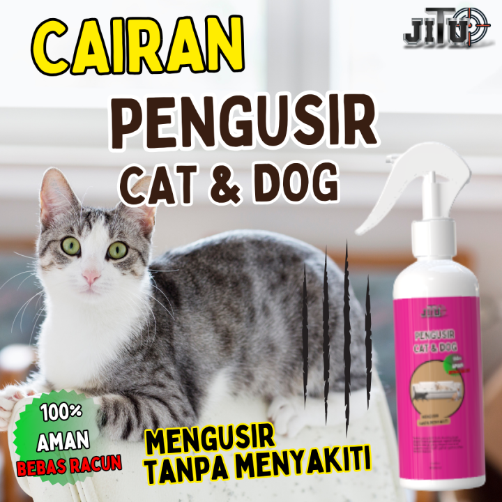 Obat Pengusir Kucing Paling Ampuh Dengan Aroma Yang Tidak Disukai Kucing mengusir tanpa menyakiti