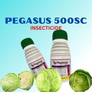 PEGASUS INSECTICIDE 250ML