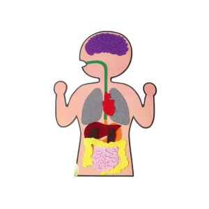 Puzzle Felt Sistem Pencernaan Manusia / Mainan Montessori Organ Tubuh Edukasi / Human Body Activity Kit