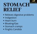 Stomach Relief / Digize / Sakit Perut / Young Living Pre-Diluted Essential Oil / Roll on (10ml). 