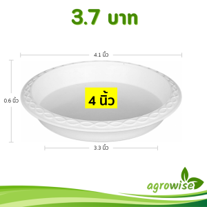 จานรองกระถางต้นไม้ กระถาง กระถางต้นไม้ เบอร์ 4 นิ้ว สีขาว Bundle 50 ใบ ชิ้น อัน