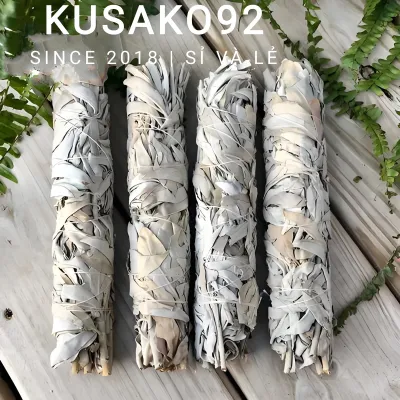 (Sỉ và Lẻ) Bó Xô Thơm Trắng/ White Sage/ Lá Sage Thanh Tẩy Không Gian Kusako92 (chuẩn Nam California)