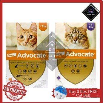 Advocate large best sale cat purple