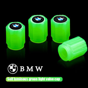 ฝาวาล์วฝาครอบกันฝุ่นยางรถยนต์เรืองแสงสีเขียวแบบบูรณาการ4ชิ้นสำหรับ BMW X1 X3 X4 X5 X6 3-Series 530 525 425 740