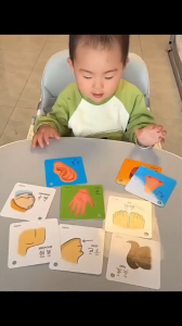 Kad Pembelajaran Kanak Kanak Buku Gantung Awal Buah Haiwan Angka Pekerjaan Kenderaan Kids Learning Flash Card Book Set Fruits Animals Numbers Transport Durable Educational Toy 宝宝认知吊环卡片书 幼儿启蒙早教图卡 撕不烂水果动物数字交通工具职业学习卡 E045