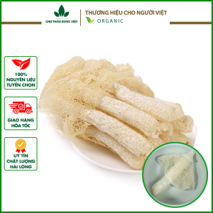 Nấm tâm trúc khô cao cấp 100g nấm trúc sanh trúc sáng thơm ngon và bổ dưỡng hầm canh dưỡng sinh