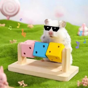 ER52858 Bite Resistant Hamster Cube Toy Wood Funny Guinea Pig Chew Toys Cube Hamster Toy Rainbow Pet Chew Blocks For Guinea Pig Rats Ferret