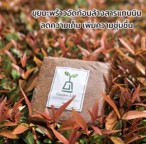 ขุยมะพร้าวล้างสารแทนนิน เกรดพรีเมียม เพาะปลูกแทนดิน ลดความเค็ม pH ผ่านการฆ่าเชื้อแล้ว ประหยัดเวลาสามารถใช้ปลูกได้เลย