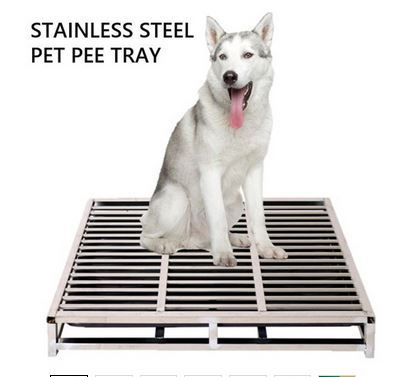 Stainless Steel Pee Tray Dog Toilet pets pee tray Metal Potty Puppy Holder XL Big Size Lazada Singapore