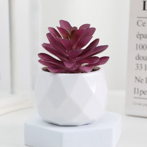 Artificial Succulent Plants Simulation Evergreen Plants Bonsai  Home Decor Small Potted Plants Home