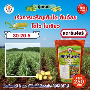 ปุ๋ย ฉีดพ่น ต้นอ้อย โตไว ใบเขียว เร่งราก เร่งดอก ลำใหญ่ น้ำหนักดี CCSสูง เพิ่มผลผลิต โดย สตาร์เฟอร์