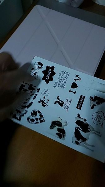 Buyer review video 5