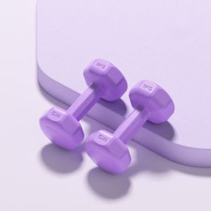 Dumbbell For Woman Hexagonal 1KG/2KG/3KG Fitness Exercise Ladies Dumbbell Home Weight Training Women Workout Dumbell Indoor Strength Muscle Training Equipment 健身哑铃