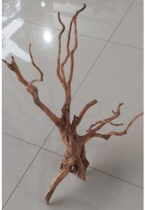 Akar rasamala size M aquascape aquarium