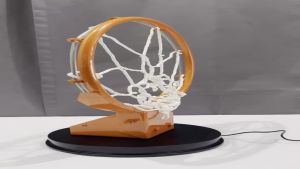 Basketball Ring 14&quot with Dual Spring and Net Included (READ DESCRIPTION)[Fast Shipping]