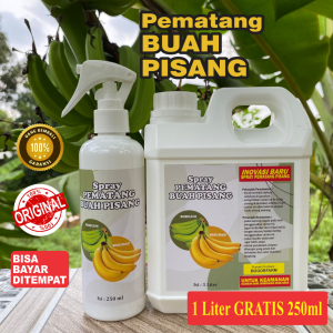 PEMATANG PISANG | MATENG Dalam 2 Hari | PISANG Mateng Secara INSTANT | 1 LITER