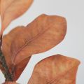 FOUNDTWO 57cm Artificial Magnolia Leaf Branches Lifelike Real Touch Fake Magnolia Plant Photography Props Floral Art Simulated Green Plants Home Office Decor. 