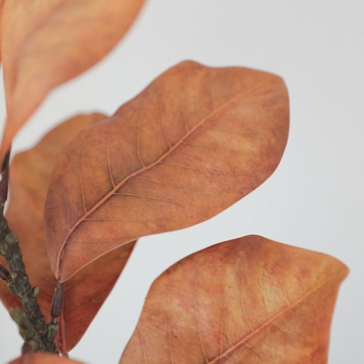FOUNDTWO%2057cm%20Artificial%20Magnolia%20Leaf%20Branches%20Lifelike%20Real%20Touch%20Fake%20Magnolia%20Plant%20Photography%20Props%20Floral%20Art%20Simulated%20Green%20Plants%20Home%20Office%20Decor%20-%20Image%205