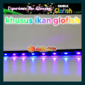 Kandila Lampu Glofish GLO 300 lampu view ikan glo fish glowfish. 