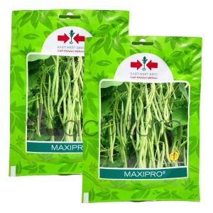 Benih Buncis MAXIPRO Isi 225 Butir Cap Panah Merah