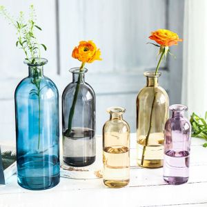 FDYRU Nordic Transparent Room Flower Decoration Hydroponic Plant Glass Bottle Home Decoration Flower Vase Glass Vase Table Decor
