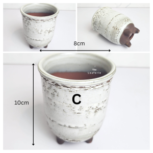 The Leaferie Petit Pots (Series 14) small mini plant pots. flowerpot . flower pot . planter . planters . Succulents