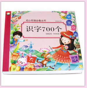 Kid Preschool 700 words Chinese Literacy Book 700