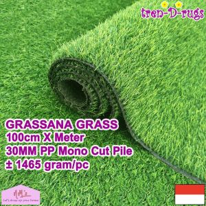Tren-D-rugs Karpet rumput sintetis palsu meteran synthetic artificial grass alas lantai dekorasi taman halaman rumah golf lebar 100 cm indoor outdoor tinggi 30 mm / 3 cm - NMs