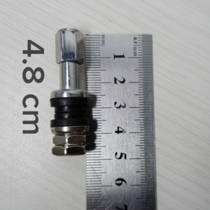 Pentil tubeless besi panjang