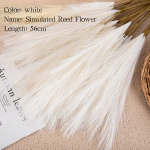 36Pcs 56cm Reed Natural Bunch Dried Pampas Wedding Flower Bunch Bulrush Bouquets Flavorful Small Durable Home Decoration